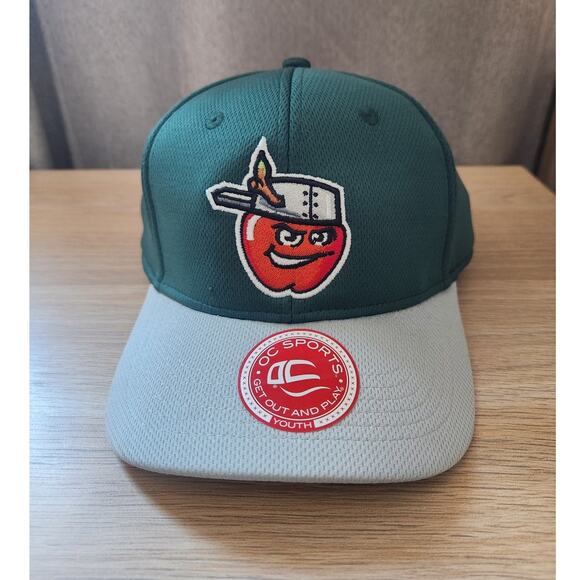 FORT WAYNE TINCAPS Hat Minor League Baseball Cap MiLB Youth Adjustable New wTags - Picture 1 of 10